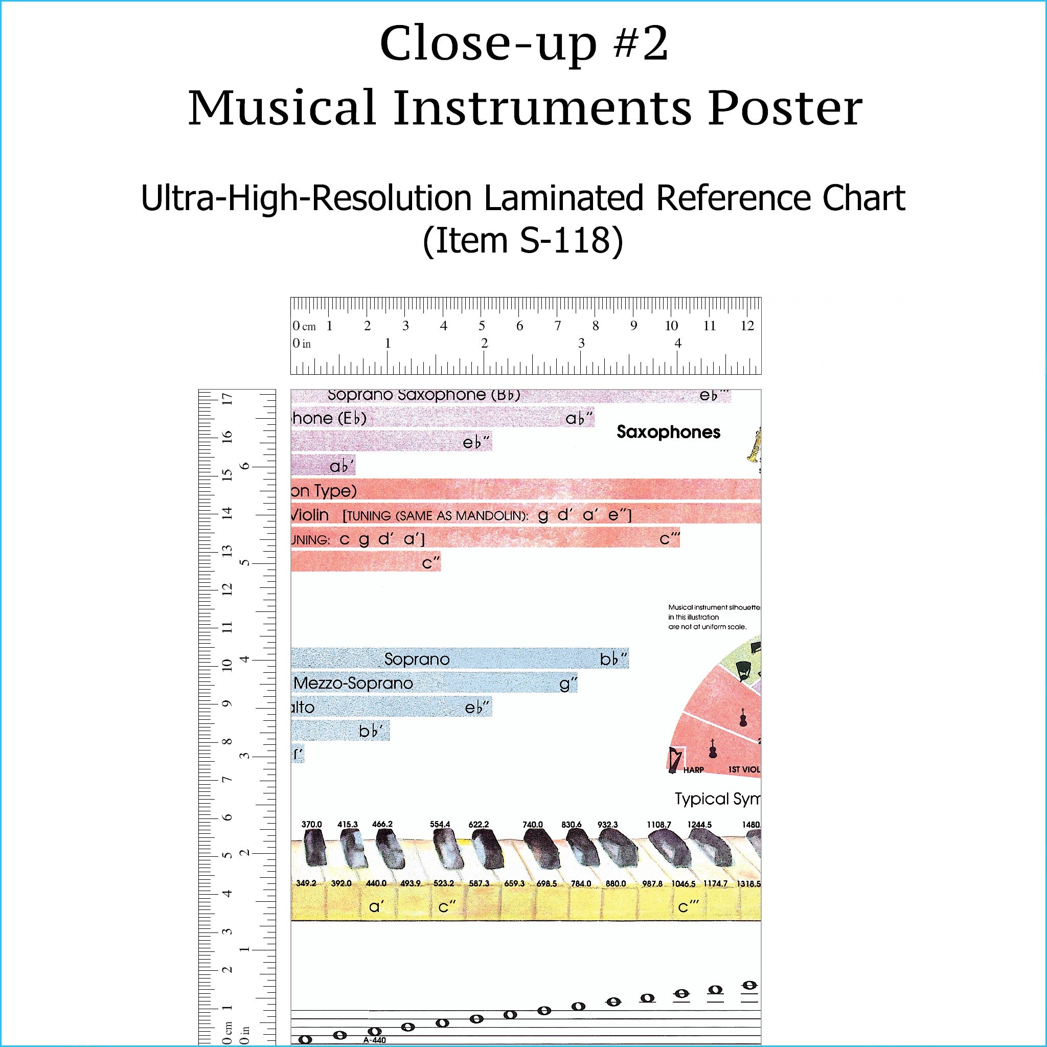Musical Instruments Poster - LAMINATED Reference Wall Chart – Roedy Black