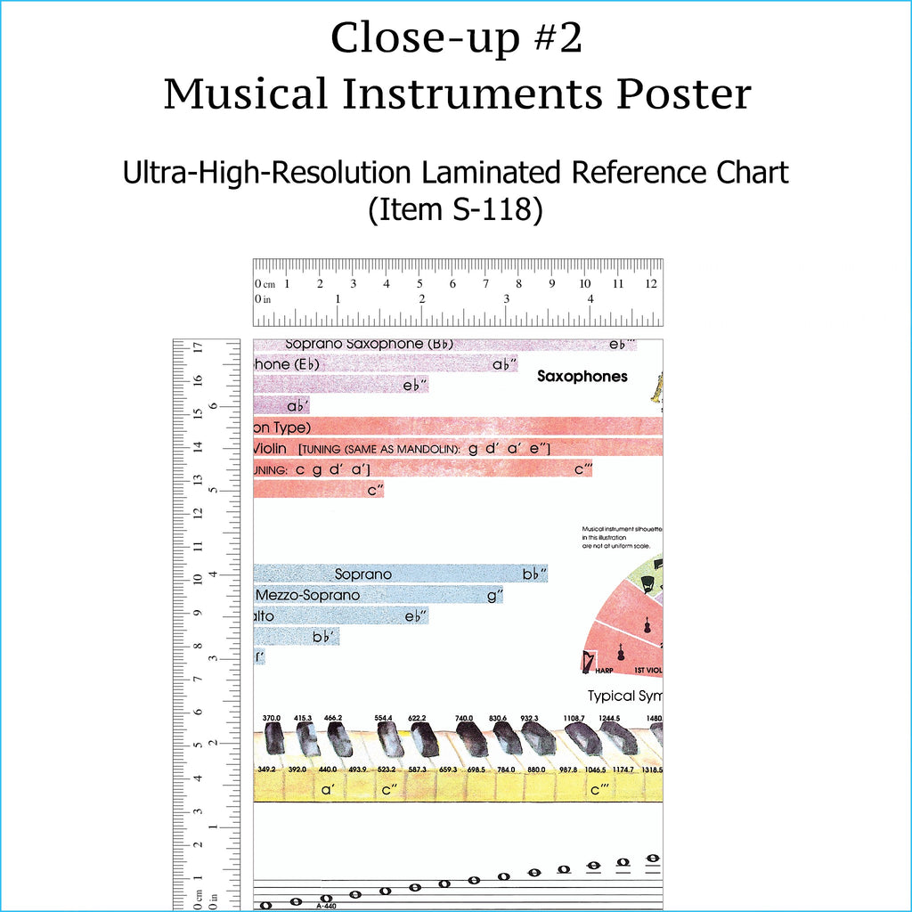 Musical Instruments Poster - LAMINATED Reference Wall Chart – Roedy Black